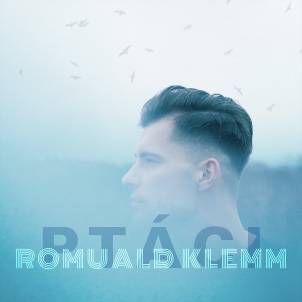 Romuald Klemm - Ptáci | EP | Warner Music cover image